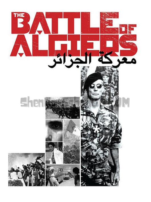 SRB08305 【阿爾及爾之戰 The Battle Of Algiers】電影 BD50G 不附粵配 附繁中字幕 01碟