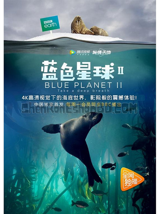 SRB08502 【藍色星球 第二季 Blue Planet Ii】紀錄片 BD25G 不附粵配 附繁中字幕 03碟