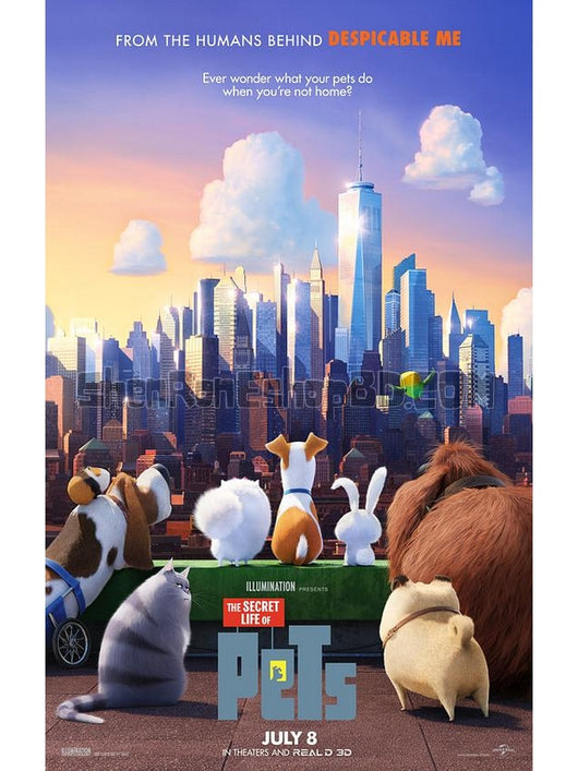 SRB10101 【愛寵大機密 The Secret Life Of Pets】動畫 4KUHD 不附粵配 附中文字幕 01碟