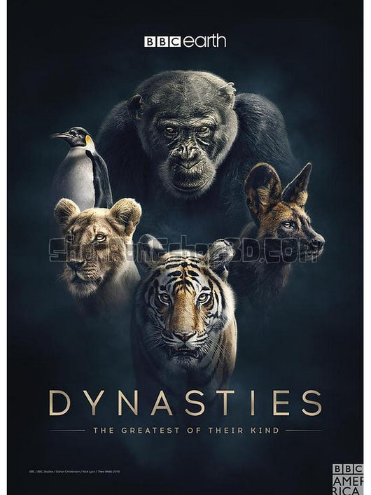 SRB11555 【Bbc：動物王朝 Dynasties】紀錄片 BD25G 不附粵配 附中文字幕 02碟