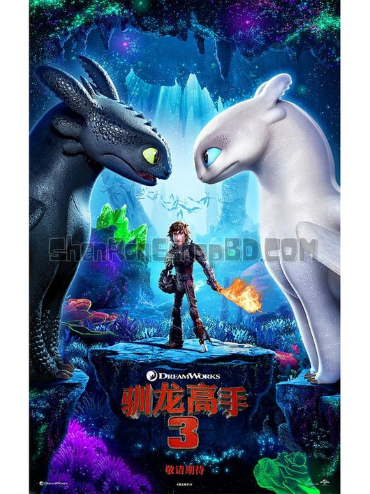 SRB12383 【馴龍高手3/ 馴龍記3 How To Train Your Dragon：The Hidden World】動畫 BD50G 不附粵配 附中文字幕 01碟