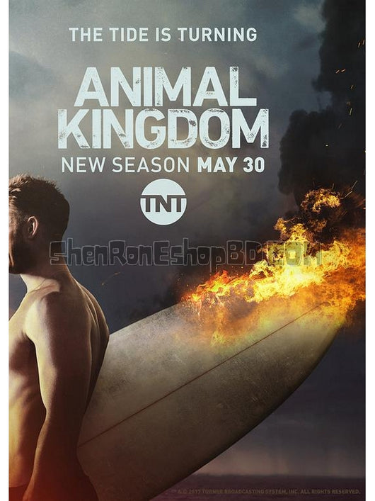 SRB12818 【野獸家族/ 動物王國 第二季 Animal Kingdom Season 2】劇集 BD50G 不附粵配 附中文字幕 04碟