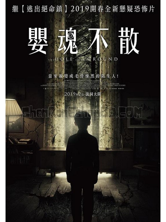 SRB13146 【地面之洞/ 嬰魂不散 The Hole In The Ground】電影 BD50G 不附粵配 附中文字幕 01碟