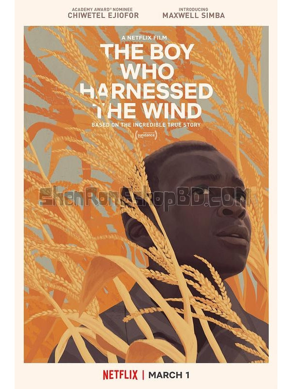 SRB13334 【馭風男孩 The Boy Who Harnessed The Wind】劇集 BD25G 不附粵配 附中文字幕 01碟