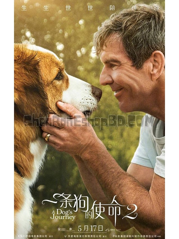 SRB13337 【一條狗的使命2/ 狗狗的旅程2 A Dog'S Journey】劇集 BD25G 不附粵配 附中文字幕 01碟