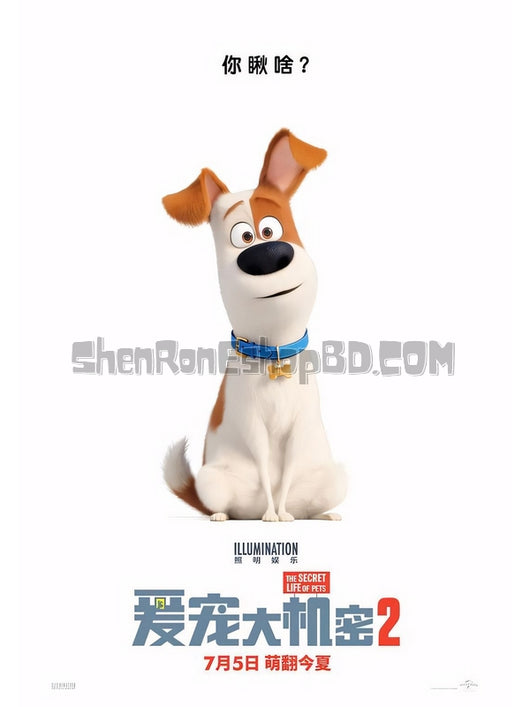 SRB13356 【愛寵大機密2/ 寵物當家2 The Secret Life Of Pets 2】動畫 BD50G 不附粵配 附中文字幕 01碟