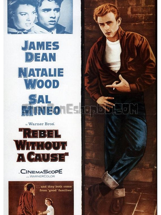 SRB13371 【無因的反叛/ 阿飛正傳/ 養子不教誰之過 Rebel Without A Cause】電影 BD50G 不附粵配 附中文字幕 01碟