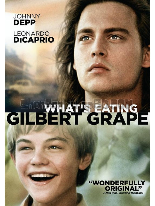 SRB13617 【不一樣的天空/ 戀戀情深 What'S Eating Gilbert Grape】電影 BD50G 不附粵配 附中文字幕 01碟