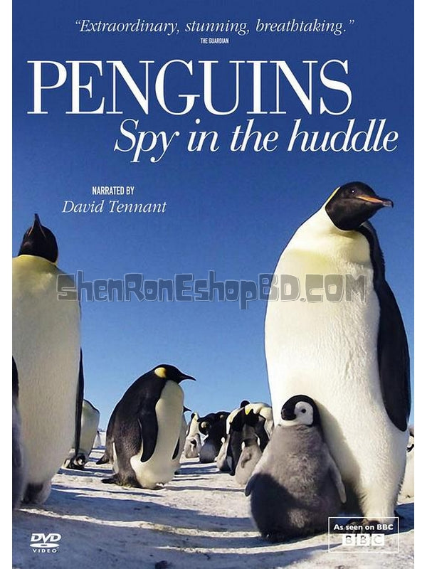 SRB13726 【Bbc 企鵝臥底日記 Penguins：Spy In The Huddle】紀錄片 BD50G 不附粵配 附中文字幕 01碟