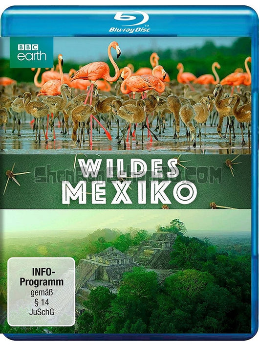 SRB15211 【墨西哥：地球生命的狂歡 Mexico：Earth'S Festival Of Life】紀錄片 BD50G 不附粵配 附中文字幕 01碟