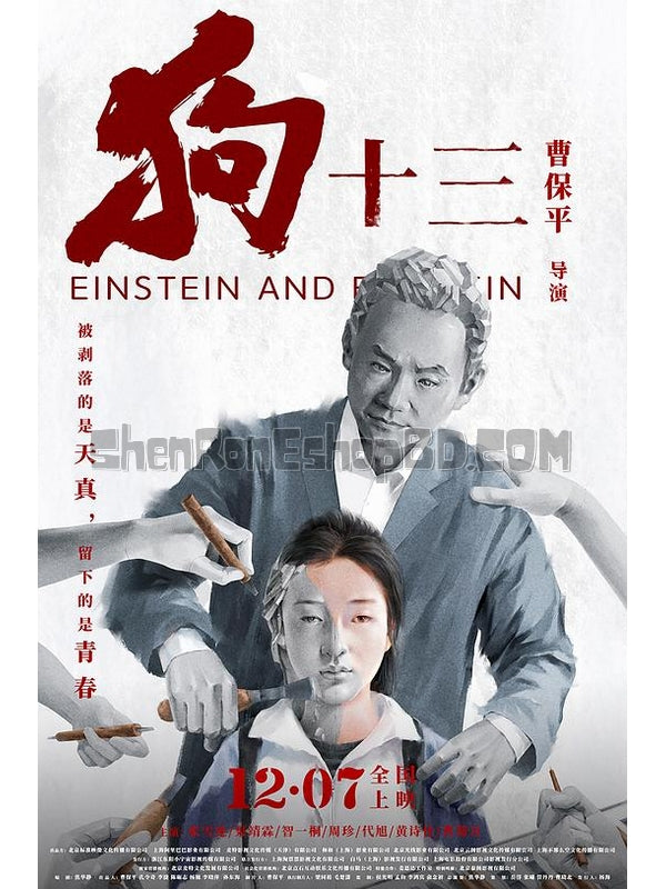 SRB15273 【狗13/ 狗十三 Einstein And Einstein】劇集 BD25G 不附粵配 附中文字幕 01碟