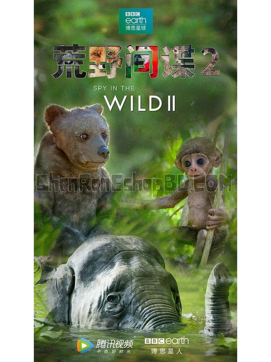 SRB15397 【荒野間諜 第二季 Spy In The Wild Season 2】紀錄片 BD25G 不附粵配 附中文字幕 02碟