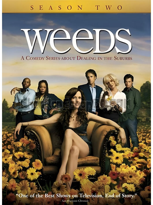 SRB15599 【單身毒媽 第二季 Weeds Season 2】劇集 BD50G 不附粵配 附中文字幕 02碟