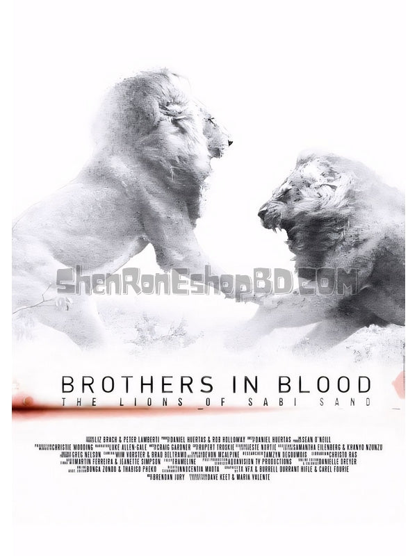 SRB16481 【獅王之路/ Brothers In Blood：The Lions Of Sabi Sand】紀錄片 BD25G 不附粵配 附中文字幕 01碟