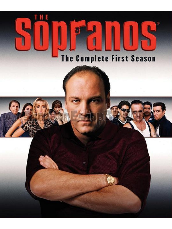 SRB16709 【黑道家族 第一季/ The Sopranos Season 1】劇集 BD50G 不附粵配 附中文字幕 04碟