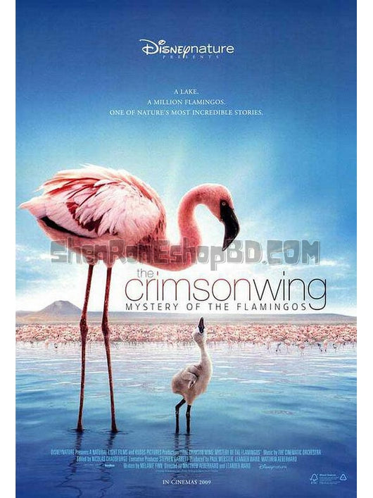 SRB16772 【紅色翅膀：火烈鳥故事/ 天翅奇跡 The Crimson Wing：Mystery Of The Flamingos】紀錄片 BD25G 不附粵配 附中文字幕 01碟