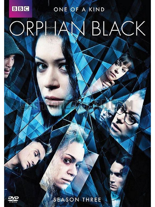 SRB19053 【黑色孤兒 第三季 Orphan Black Season 3‎】劇集 BD50G 不附粵配 附中文字幕 02碟