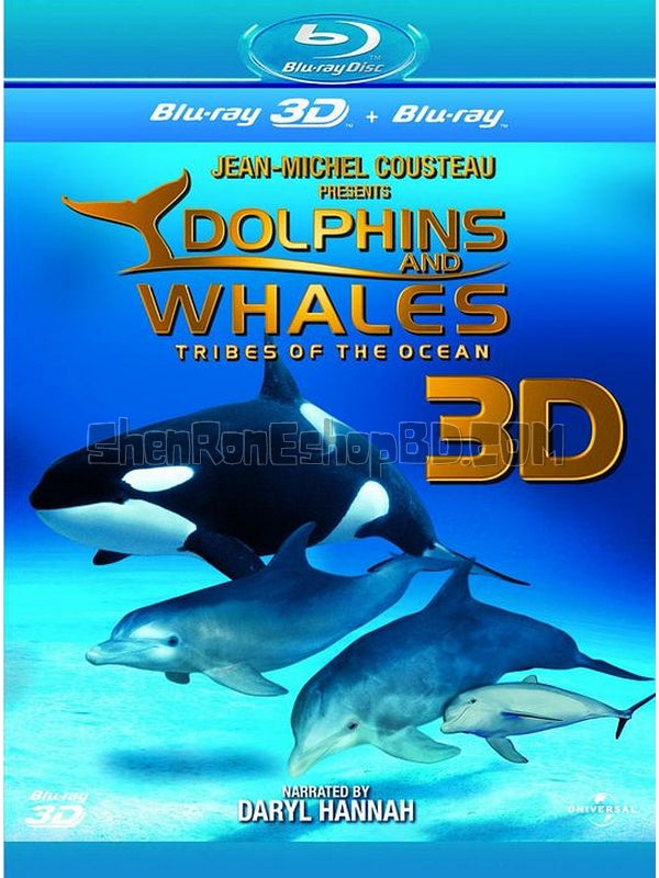 SRB19084 【海豚和鯨魚 Dolphins & Whales Tribes Of The Ocean】紀錄片 3D 不附粵配 附中文字幕 01碟