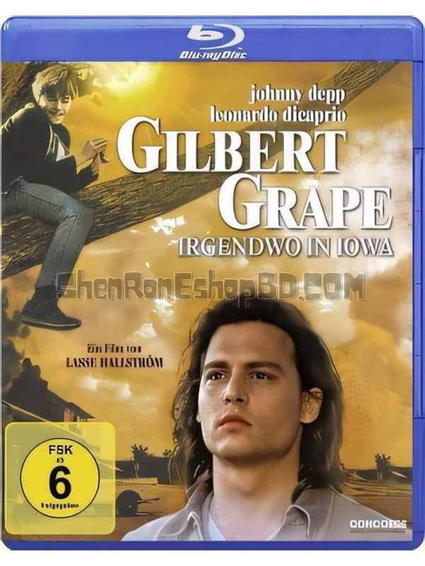 SRB19105 【不一樣的天空/ 戀戀情深 What'S Eating Gilbert Grape】電影 BD25G 不附粵配 附中文字幕 01碟