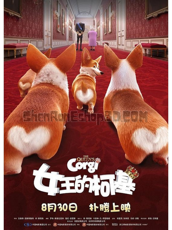 SRB19635 【女王的柯基/ 女皇哥基大冒險/ The Queen'S Corgi】動畫 BD25G 不附粵配 附中文字幕 01碟