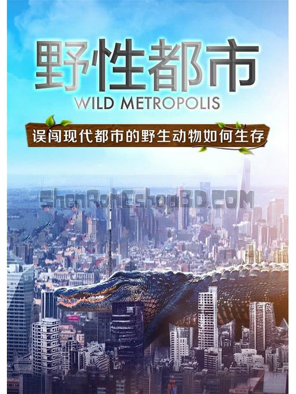 SRB20263 【Bbc：野性都市 Wild Metropolis】紀錄片 BD25G 不附粵配 附中文字幕 01碟