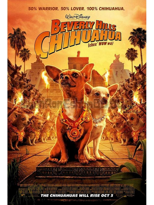 SRB21987 【富貴吉娃娃/ 比佛利拜金狗1 Beverly Hills Chihuahua】電影 BD50G 不附粵配 附中文字幕 01碟