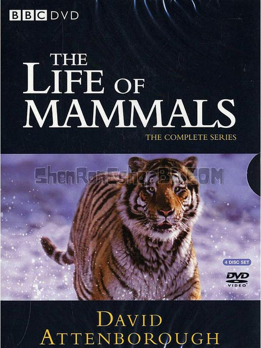 SRB22251 【哺乳類全傳 The Life Of Mammals】紀錄片 BD25G 不附粵配 附中文字幕 02碟