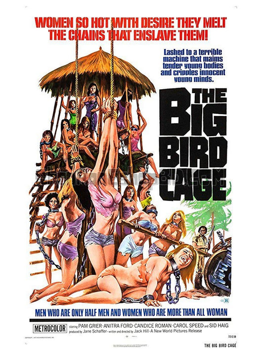 SRB22985 【大鳥籠 The Big Bird Cage】電影 BD50G 不附粵配 附中文字幕 01碟