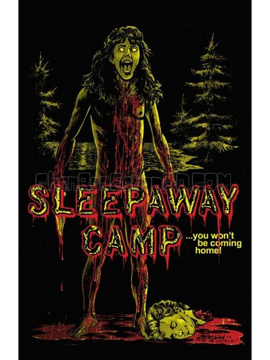 SRB23814 【血腥死亡營/ 沉睡野營地 Sleepaway Camp】電影 BD50G 不附粵配 附中文字幕 01碟