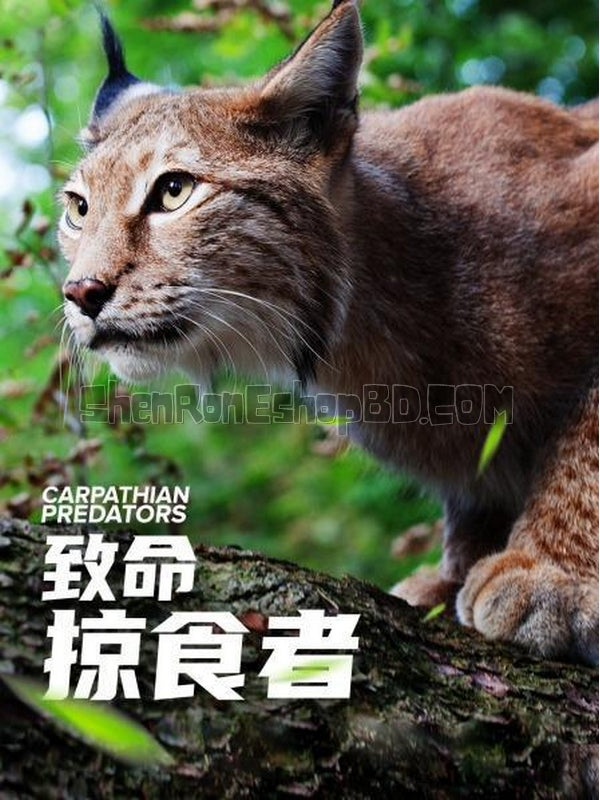 SRB24482 【致命掠食者 Carpathian Predators】紀錄片 BD25G 不附粵配 附中文字幕 01碟