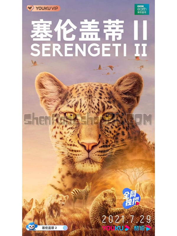 SRB24764 【塞倫蓋蒂 第二季 Serengeti Season 2】紀錄片 BD25G 不附粵配 附中文字幕 02碟