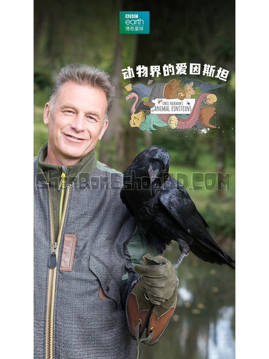 SRB24827 【動物界的愛因斯坦 第一季 Chris Packham'S Animal Einsteins Season 1】紀錄片 BD25G 不附粵配 附中文字幕 02碟