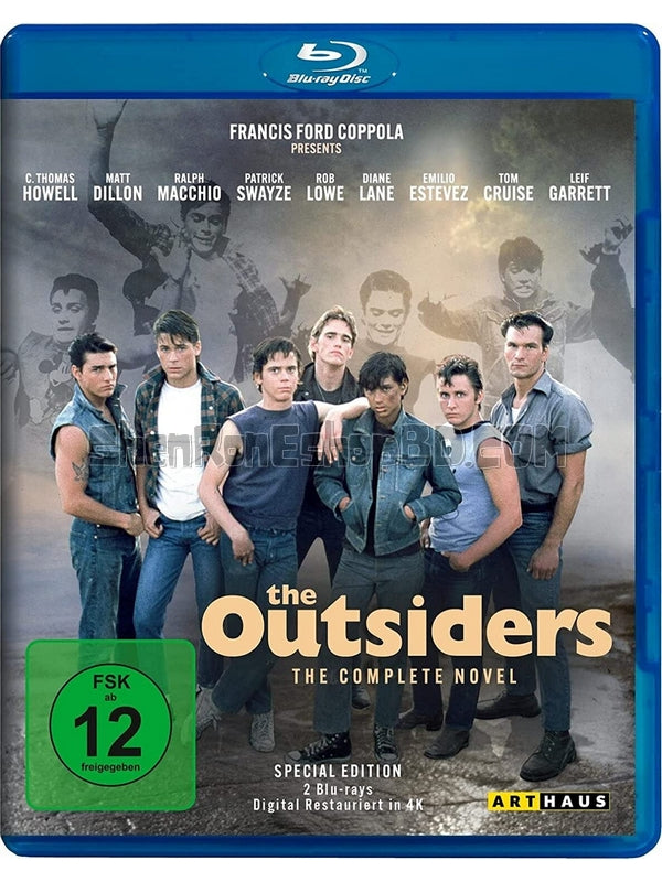 SRB25335 【小教父/ 世外頑童 The Outsiders】電影 BD50G 不附粵配 附中文字幕 01碟