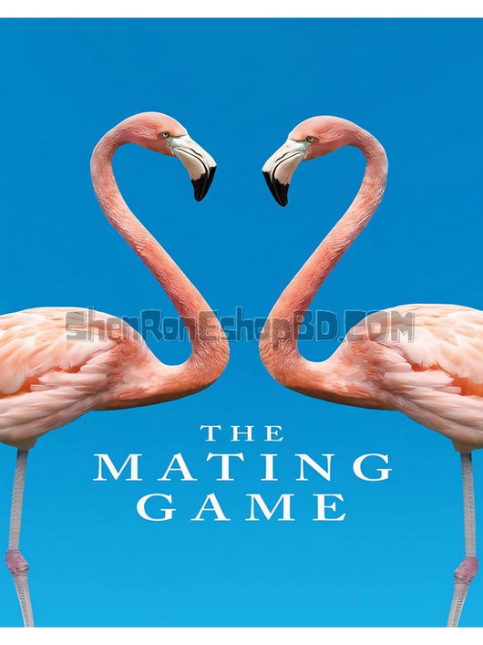 SRB25571 【求偶遊戲 帶國配 The Mating Game】紀錄片 BD25G 不附粵配 附中文字幕 01碟