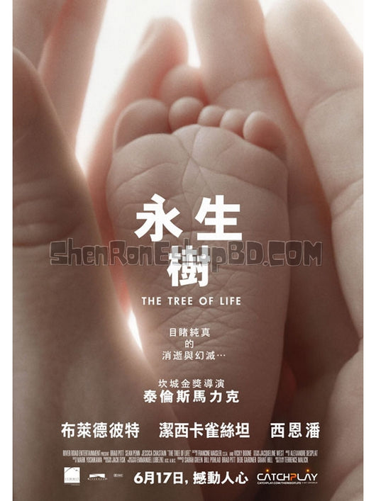 SRB25813 【生命之樹/ 永生樹 The Tree Of Life】劇集 BD50G 不附粵配 附中文字幕 02碟