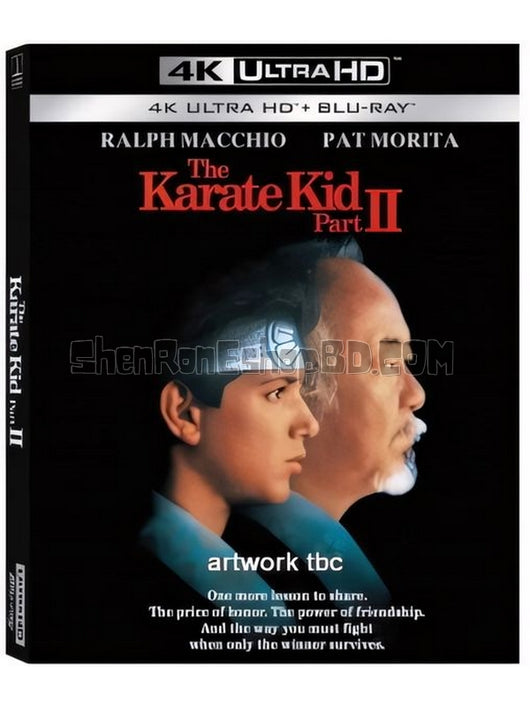 SRB26749 【龍威小子2 The Karate Kid Part Ii】劇集 4KUHD 不附粵配 附中文字幕 01碟