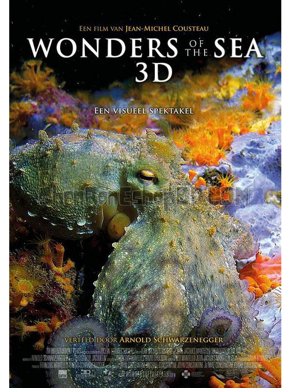 SRB26904 【奇妙的海洋 Wonders Of The Sea】紀錄片 3D 不附粵配 附中文字幕 01碟