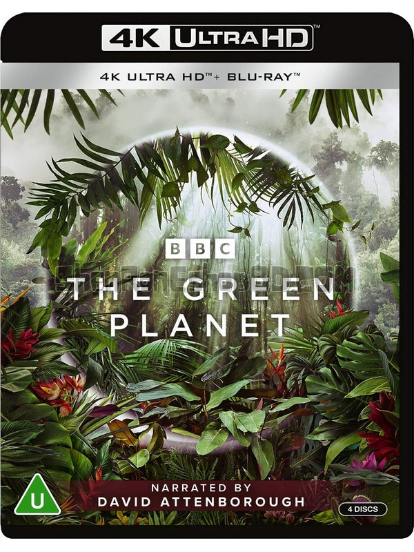 SRB27145 【Bbc 綠色星球 The Green Planet】紀錄片 4KUHD 不附粵配 附中文字幕 02碟