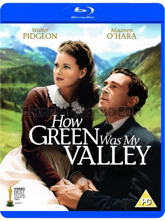 SRB27412 【青山翠谷/ 父慈子孝 How Green Was My Valley】劇集 BD50G 不附粵配 附中文字幕 01碟