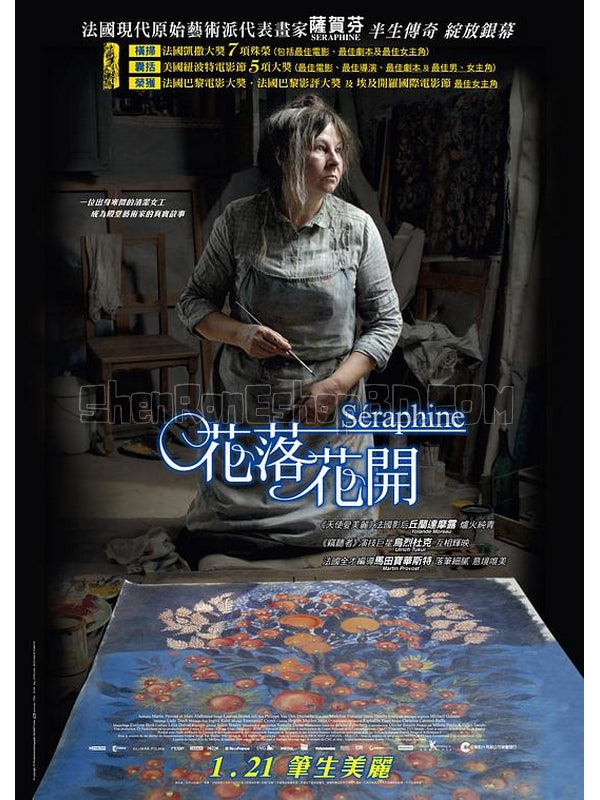 SRB28378 【花落花開/ 塞拉菲娜 Séraphine‎】電影 BD25G 不附粵配 附中文字幕 01碟