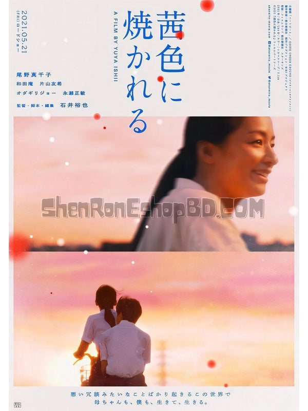 SRB28780 【茜色如燒/ 茜色照映】劇集 BD50G 不附粵配 附中文字幕 01碟