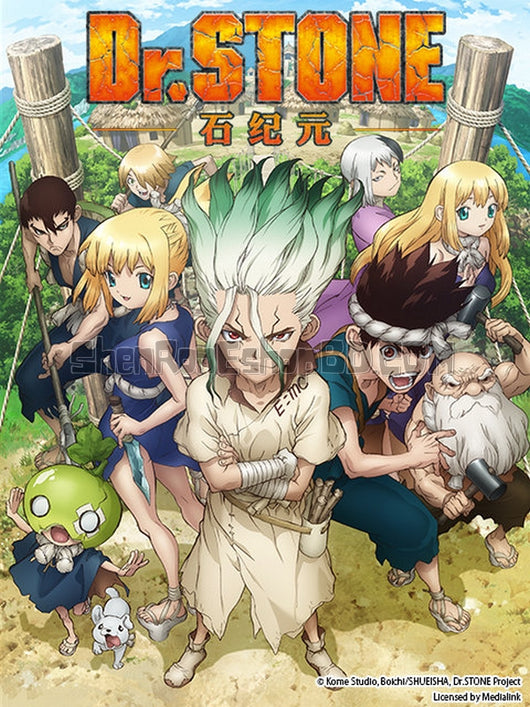 SRB28783 【石紀元/ 新石紀 第一季 Dr.Stone】動畫 BD50G 不附粵配 附中文字幕 06碟