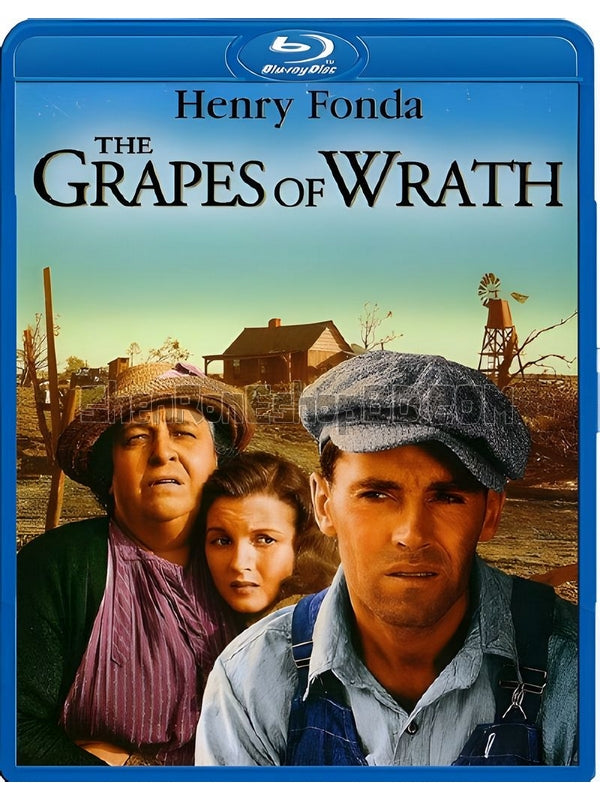 SRB29161 【憤怒的葡萄/ 怒火之花 The Grapes Of Wrath】劇集 BD50G 不附粵配 附中文字幕 01碟