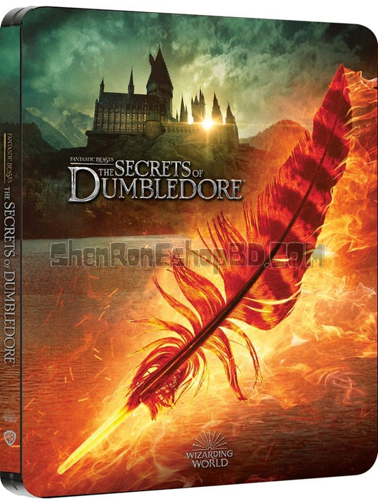 SRB29187 【神奇動物3：鄧布利多之謎 Fantastic Beasts：The Secrets Of Dumbledore‎】電影 BD50G 不附粵配 附中文字幕 01碟