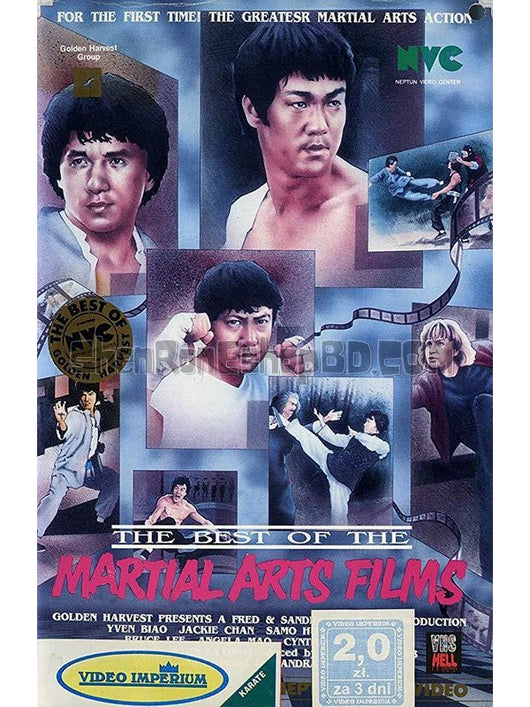 SRB30264 【金裝武術電影大全/ 世界動作巨星大匯演 The Best Of The Martial Arts Films】紀錄片 BD25G 附粵配 附中文字幕 01碟