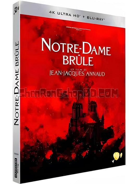 SRB30734 【燃燒的巴黎聖母院 Notre-Dame Brûle】劇集 4KUHD 不附粵配 附中文字幕 01碟