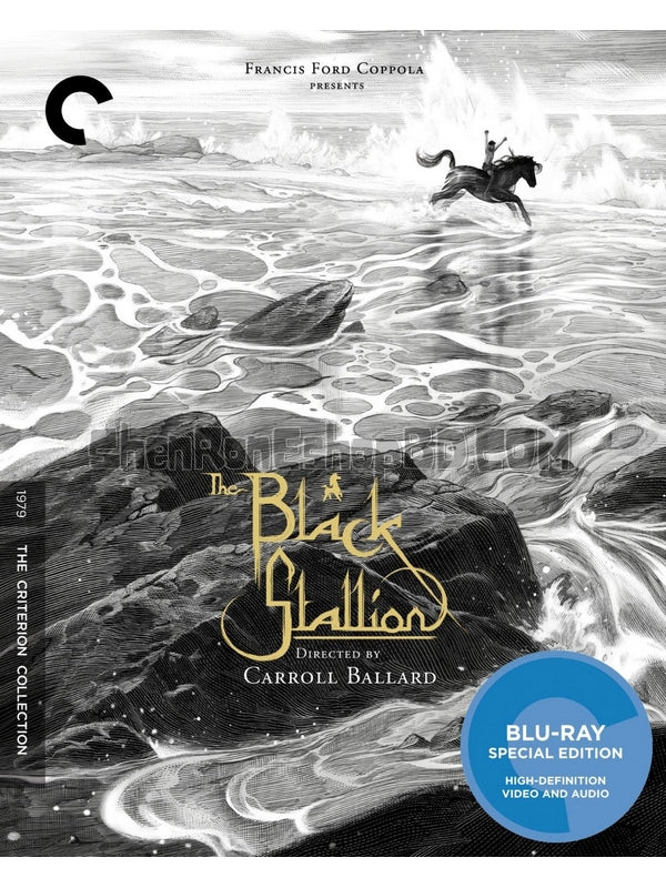 SRB30911 【黑神駒/ 沙漠黑駒 The Black Stallion】劇集 BD50G 不附粵配 附中文字幕 01碟