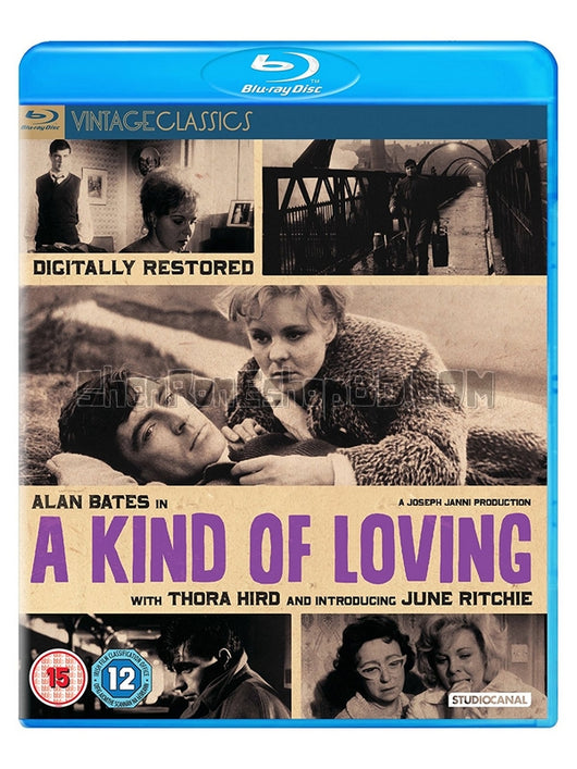 SRB31381 【一夕風流恨事多/ 一種愛意 A Kind Of Loving】電影 BD50G 不附粵配 附中文字幕 01碟