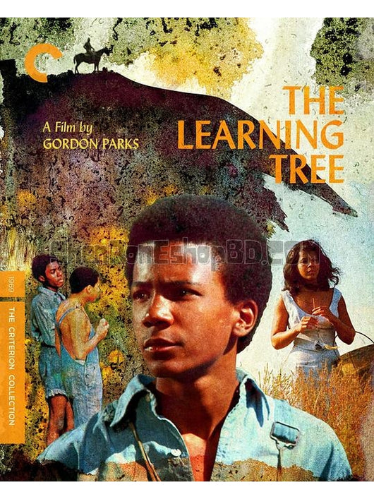 SRB33504 【常識樹 The Learning Tree‎】劇集 BD25G 不附粵配 附中文字幕 01碟