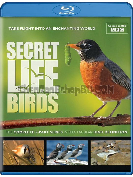 SRB34508 【Bbc：鳥類秘聞/ 鳥的秘密生活 Secret Life Of Birds‎】紀錄片 BD25G 不附粵配 附中文字幕 01碟